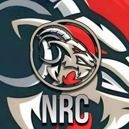 team-logo