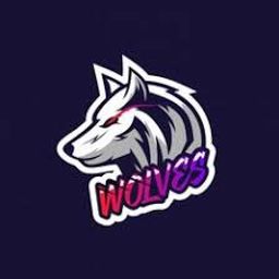 team-logo