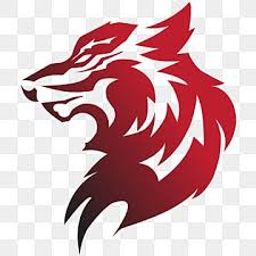 team-logo