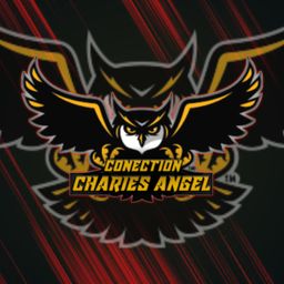 team-logo