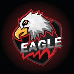 EAGLE TEAM