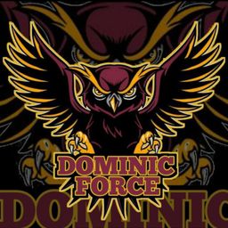 team-logo