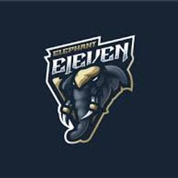 team-logo