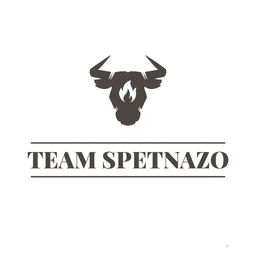 team-logo