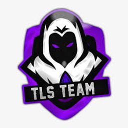 team-logo