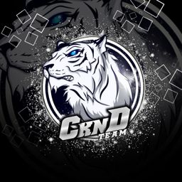 team-logo