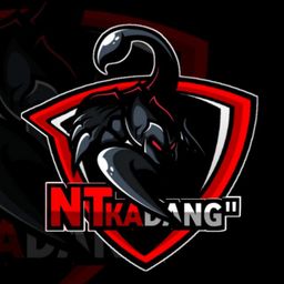 team-logo