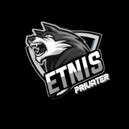 team-logo