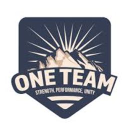 ONE TEAM