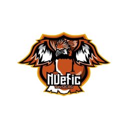 team-logo