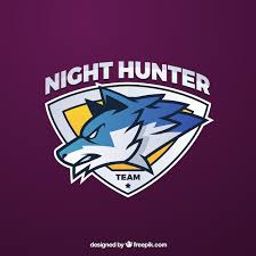 team-logo