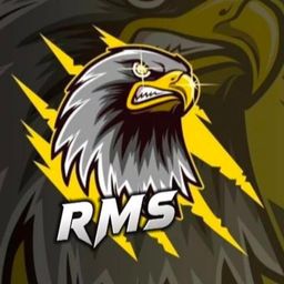 team-logo