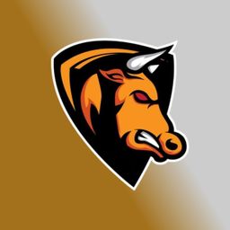 team-logo