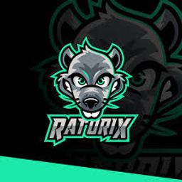 team-logo