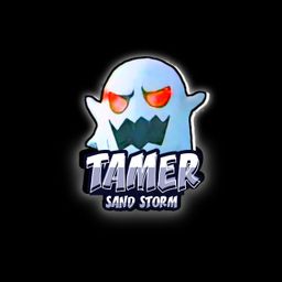 Tamer Sand Storm