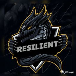 team-logo