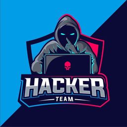 HACKER TEAM