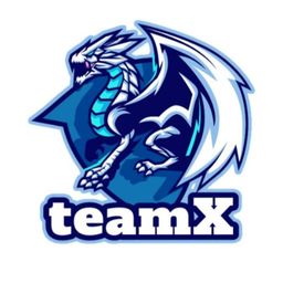 team-logo