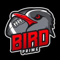 team-logo