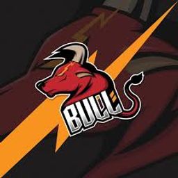 BULLS