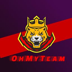 OhMyTeam