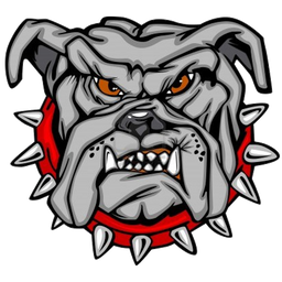 team-logo