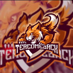 team-logo
