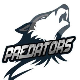 team-logo