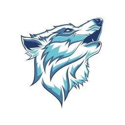 team-logo