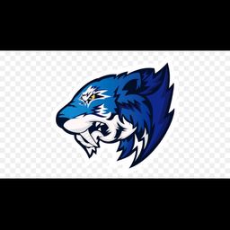 team-logo