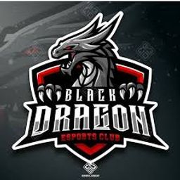 BLACK DRAGON ESPORTS CLUB