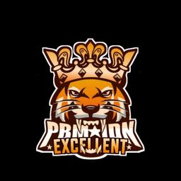 PBM Excellent 