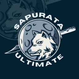 team-logo