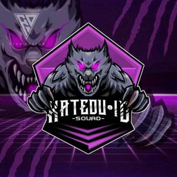 team-logo