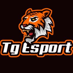 team-logo