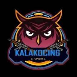 team-logo