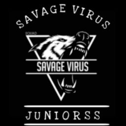 team-logo