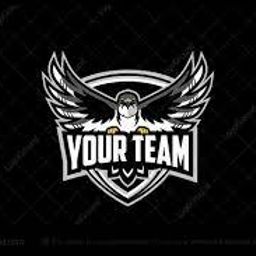 team-logo