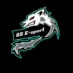 team-logo