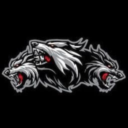 team-logo