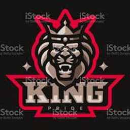 team-logo
