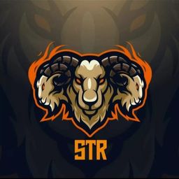 team-logo
