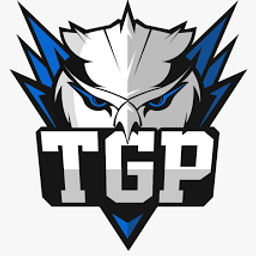 team-logo