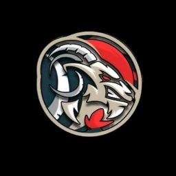 team-logo