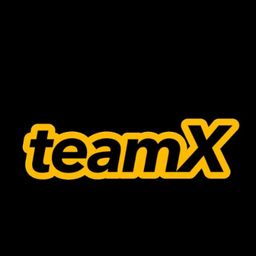 team-logo