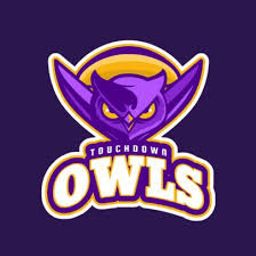team-logo