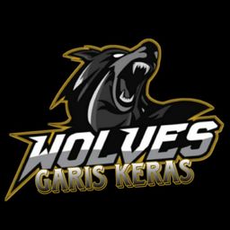 team-logo