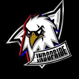 team-logo