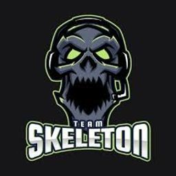 team-logo
