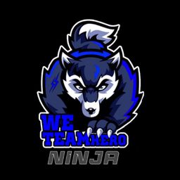 team-logo
